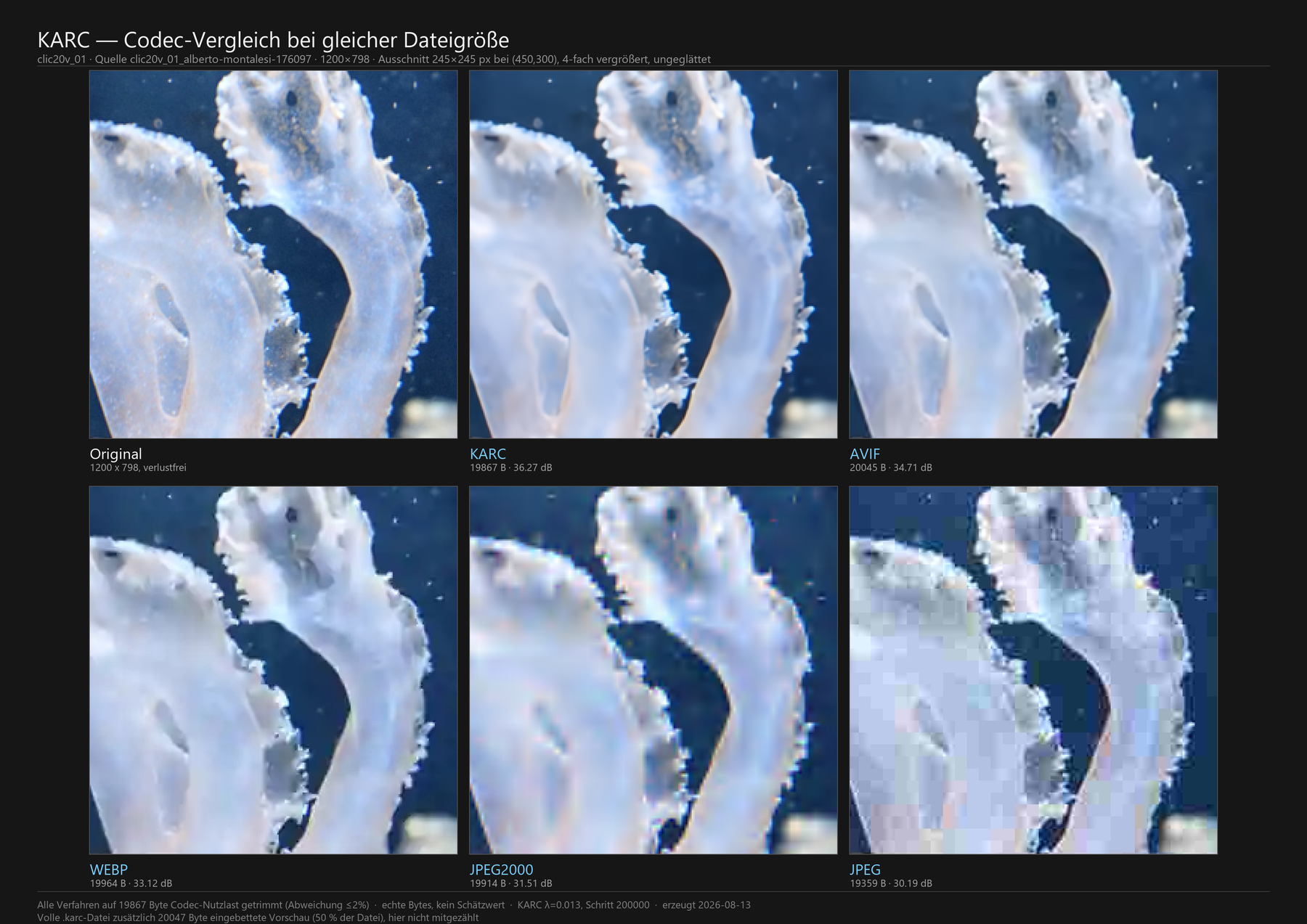 Foto 01 des Testsatzes clic20v — Ausschnitt 245×245 Bildpunkte an Position (0450, 0300)