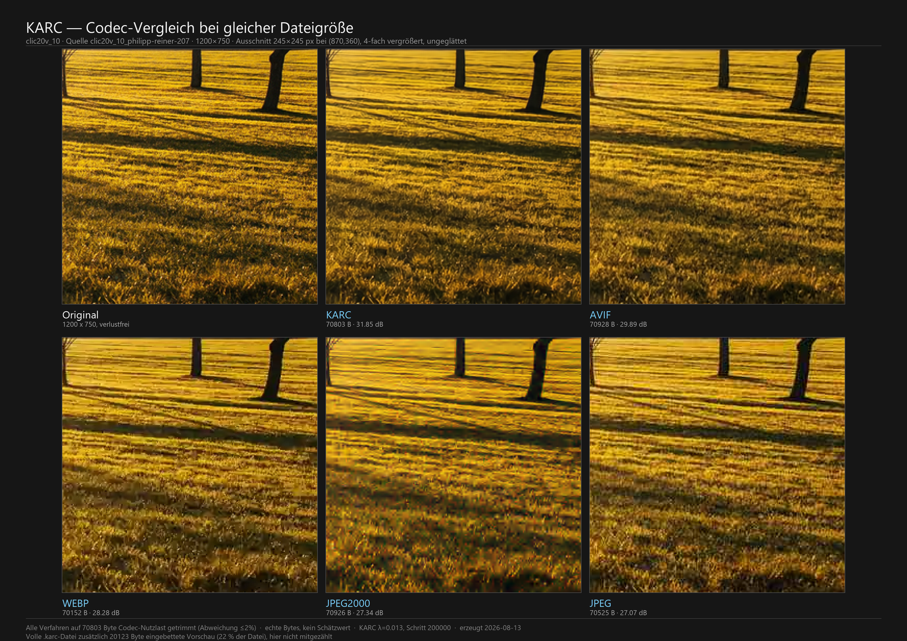 Foto 10 des Testsatzes clic20v — Ausschnitt 245×245 Bildpunkte an Position (0870, 0360)