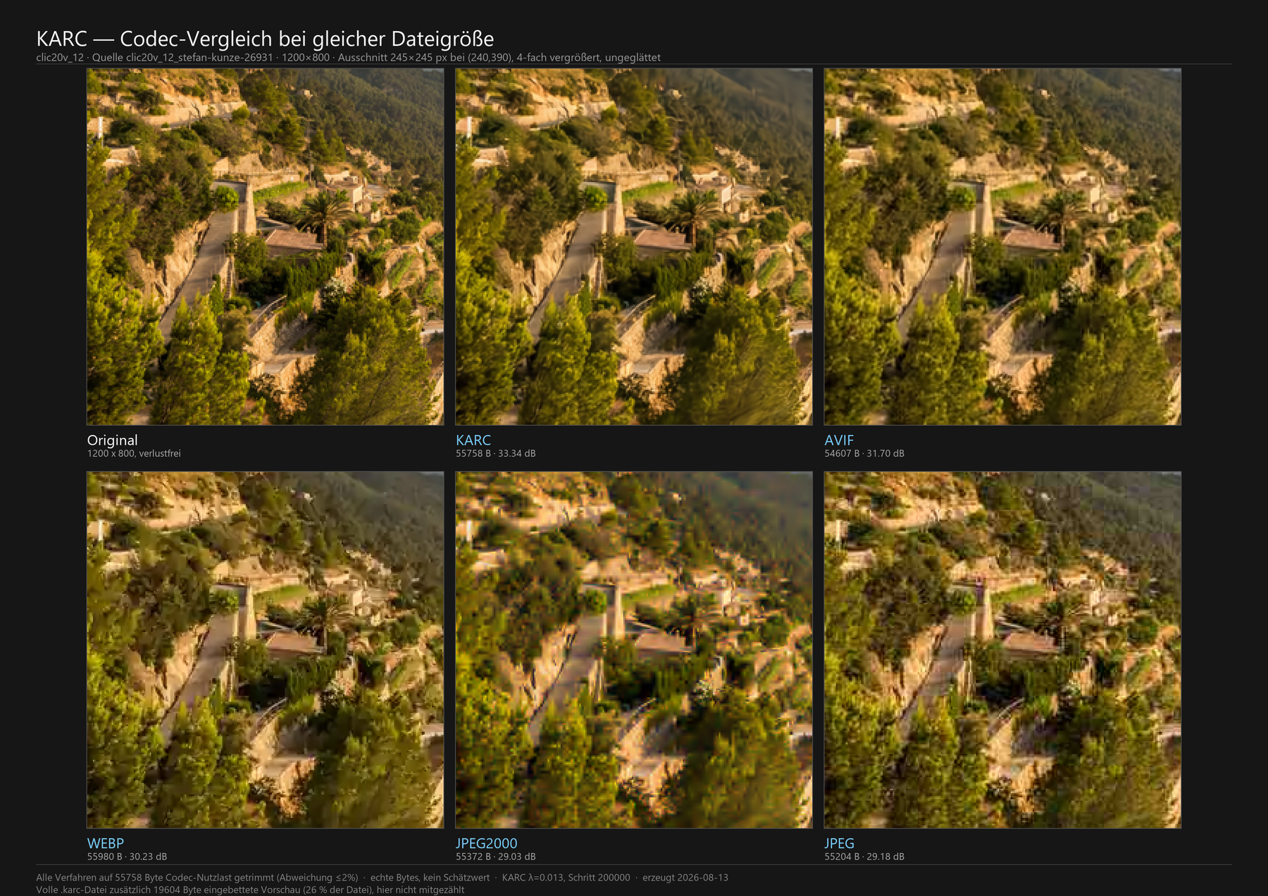 Foto 12 des Testsatzes clic20v — Ausschnitt 245×245 Bildpunkte an Position (0240, 0390)